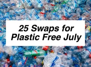 25 plastic free swaps